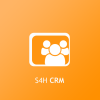S4H CRM logo